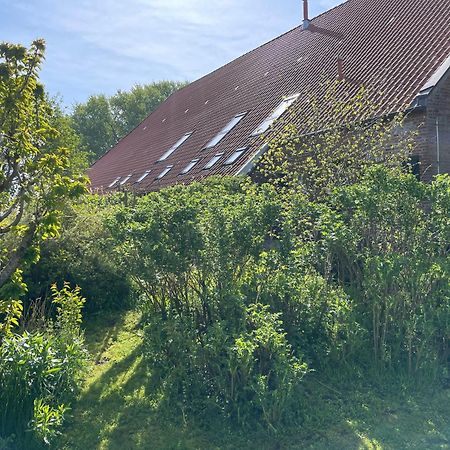Ferienhof Spiegelhaus Krummhörn Buitenkant foto