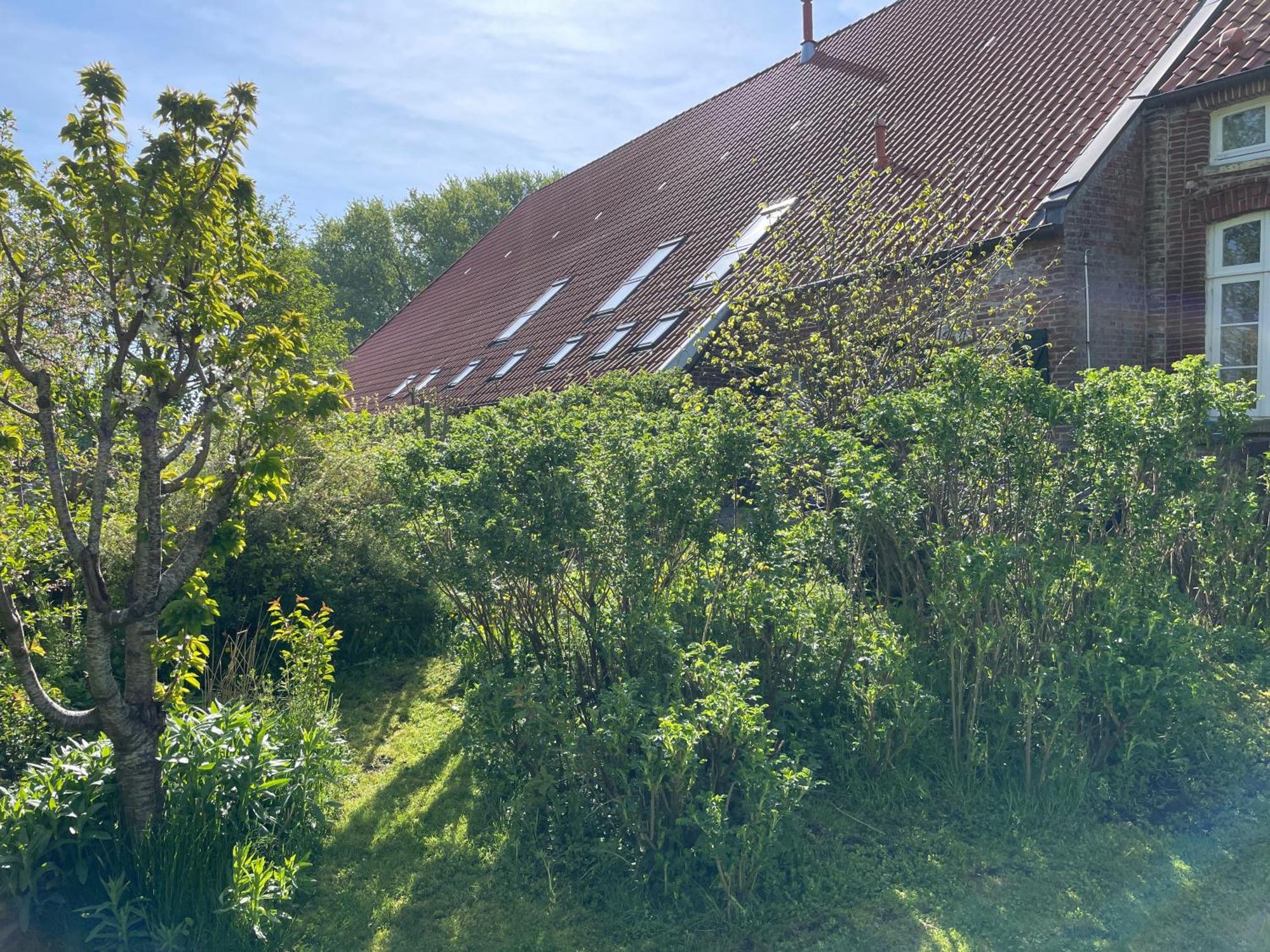 Ferienhof Spiegelhaus Krummhörn Buitenkant foto