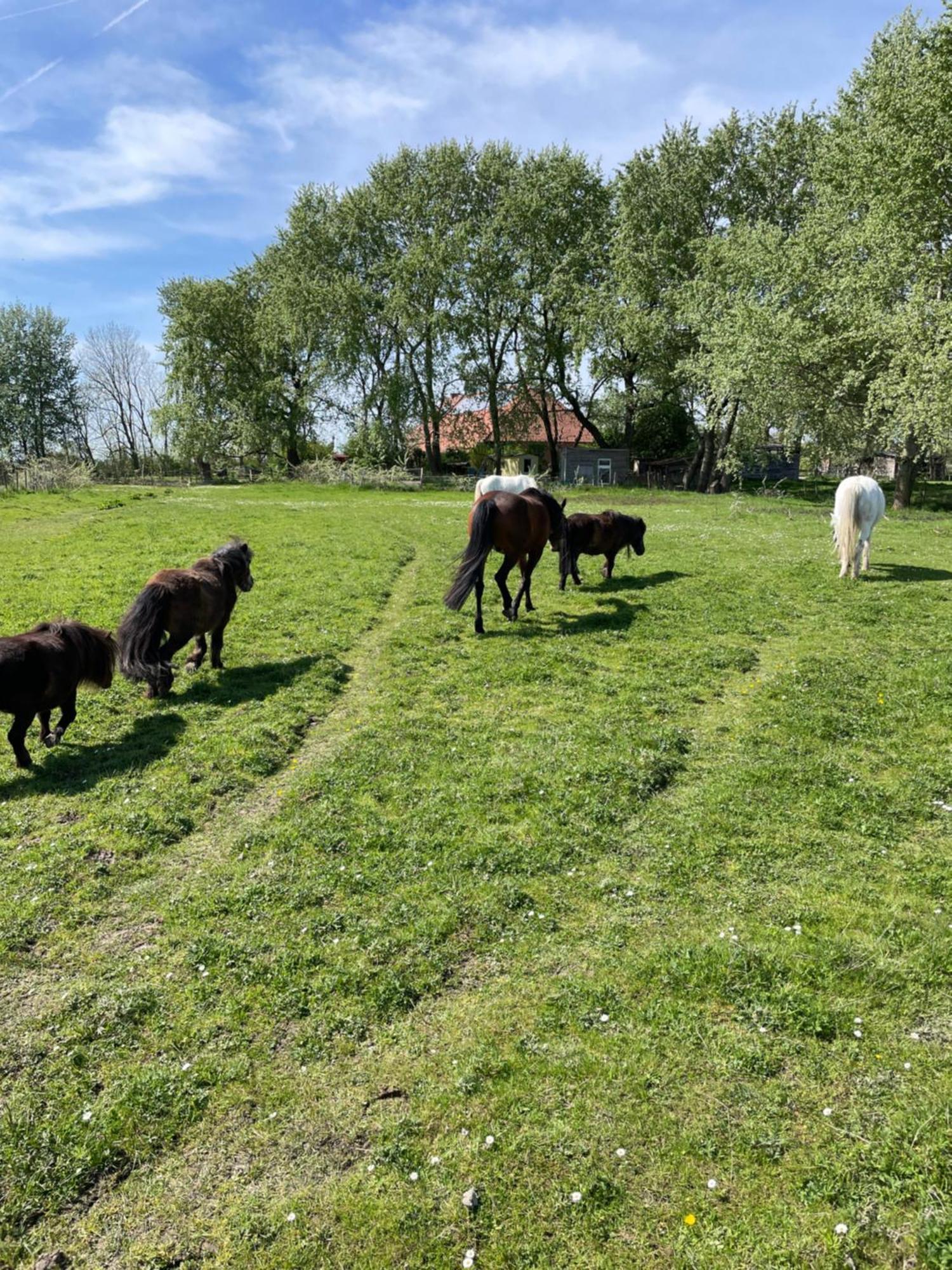 Ferienhof Spiegelhaus Krummhörn Buitenkant foto
